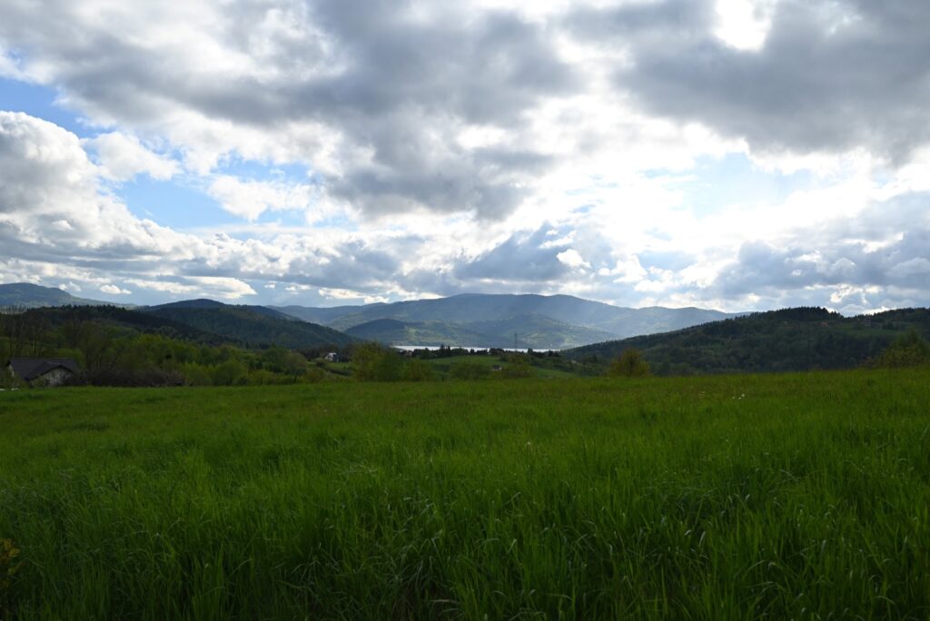 wiosenny pejzaż, na którym znajduje się zielona łąka a w oddali oświetlone słońcem Jezioro Mucharskie.